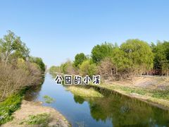 -将府公园