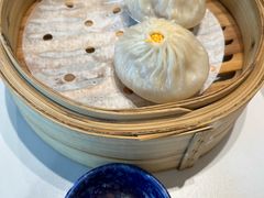 -点都德·毕德寮
