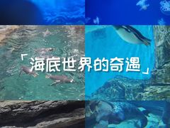 -郑州海洋馆
