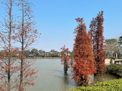 -美的鹭湖森林度假区