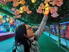 -幻彩摩天轮