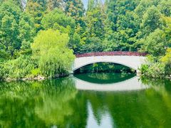 -东平国家森林公园