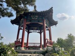 -大兴滨河森林公园