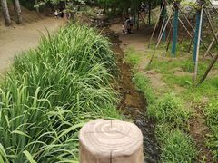 -白水寺森林公园