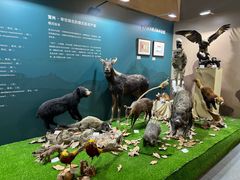 -国家自然博物馆