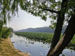 -月湖风景区