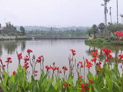 -枫香湖儿童公园