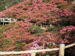-木兰云雾山
