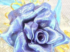 -盛兴面馆(真儒大厦店)