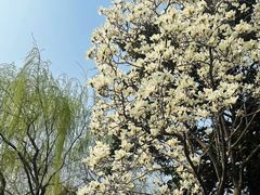 -白塘生态植物园