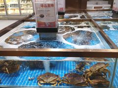 水产区-七鲜超市(通州ONE店)