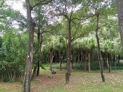 -深圳湾公园(南山区)