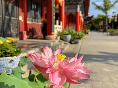 -皇罗禅寺