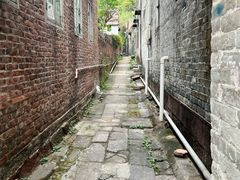 -长洲岛