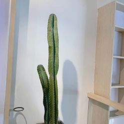 -简法造型·品牌形象店