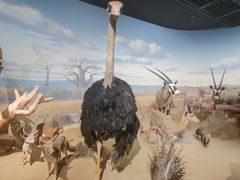 -陕西自然博物馆