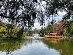 -深圳野生动物园