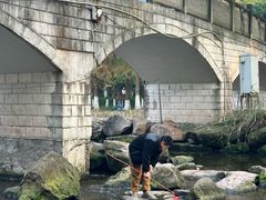 -重庆彩云湖湿地公园