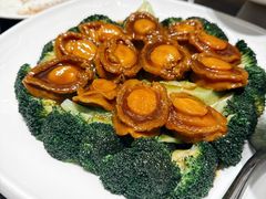 -北海渔村酒楼·粤菜海鲜点心(新华店)