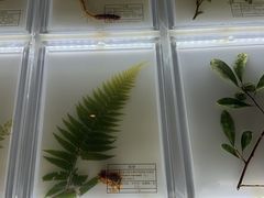 -广东中医药博物馆