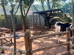 -海兰云天度假区温泉