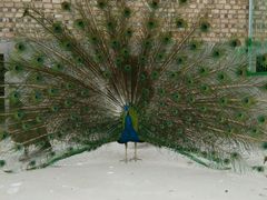 android_upload_pic-白马仙洞