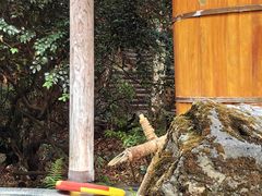 -和顺柏联温泉