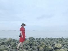 -吴淞炮台湾湿地森林公园烧烤区