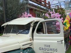 -The Grounds of Alexandria