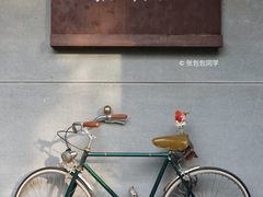 -猫里有甜