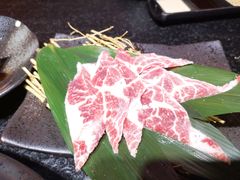-炭虎烤肉(桂林路店)