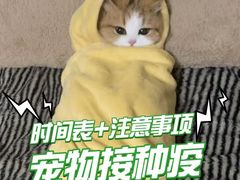 -申普宠物医院·心脏介入·心血管微创(总院)