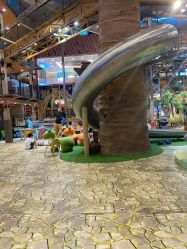 -卡通尼·Safari非洲探索乐园·生日会(金桥国际商业广场店)