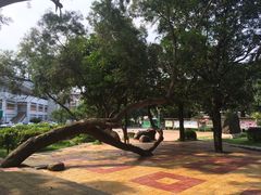 -福建师范大学(仓山校区)