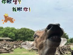 -常州淹城野生动物世界