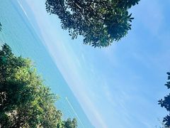 -西涌国际滨海旅游区