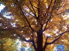 -辽宁大学(崇山校区)