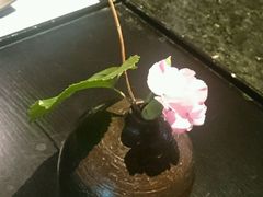 -王家渡火锅店(棕榈泉店)