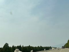 -清东陵