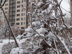 -奈雪的茶(百盛店)