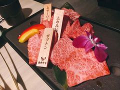 和牛拼盘自助套餐-焼肉 薩摩牛旬 A5鹿児島黒毛和牛一頭買い　(渋谷本店)