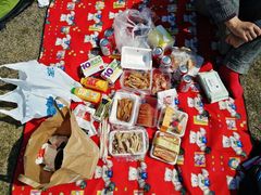 -春花秋色城市公园