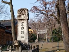 -灵谷景区
