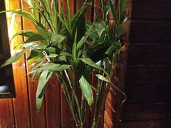 -润生源足道·SPA(个园店)