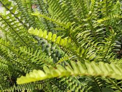 -西南民族大学南区(双流校区)