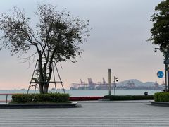 -深圳湾公园(南山区)