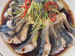 -煲来饱去冷水鱼