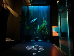 -盛京大奥莱(沈阳奥体店)