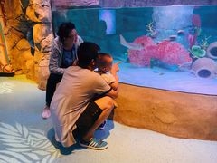 -沈阳海洋探索中心