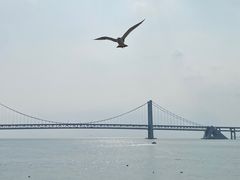 -星海广场